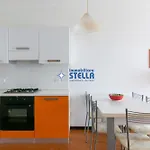 El Palmar *